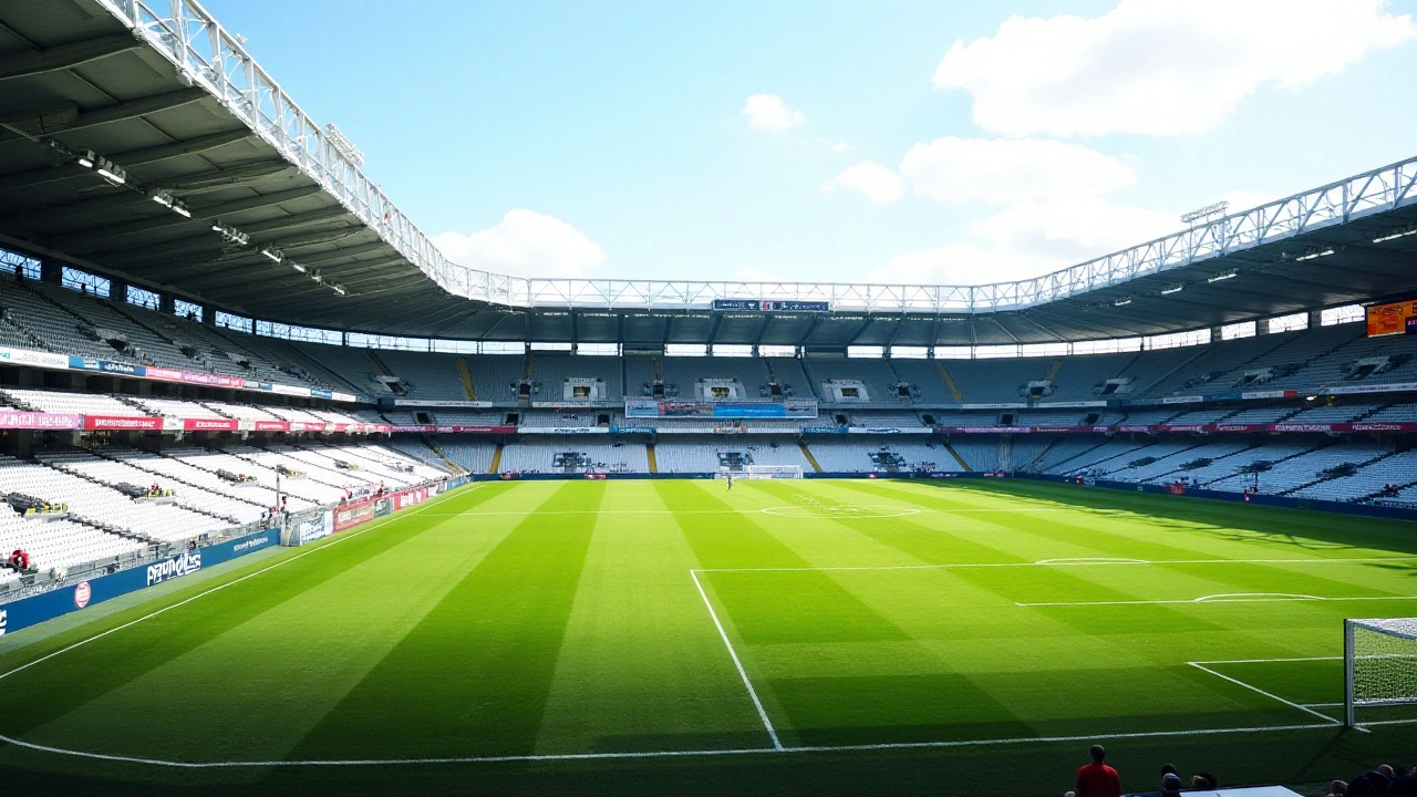 Assistir ao vivo Bragantino x Palmeiras: Tudo sobre o jogo e escalações